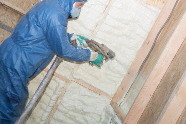 Best Thermal Imaging for Insulation Gaps  in Claymont, DE